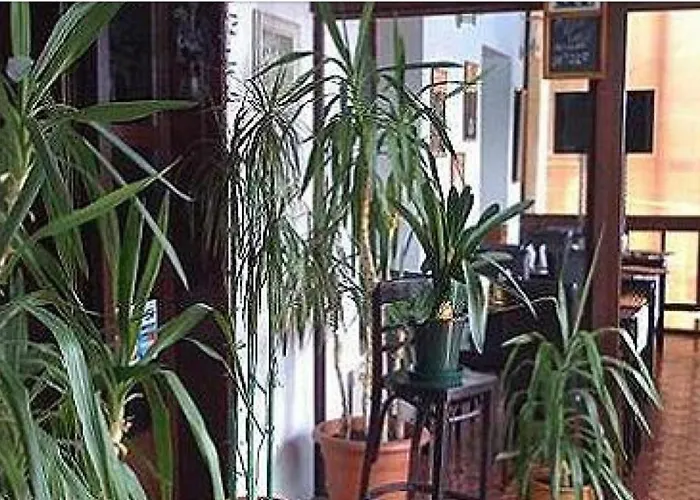 Pensiune Villa-colonial Eforie Nord